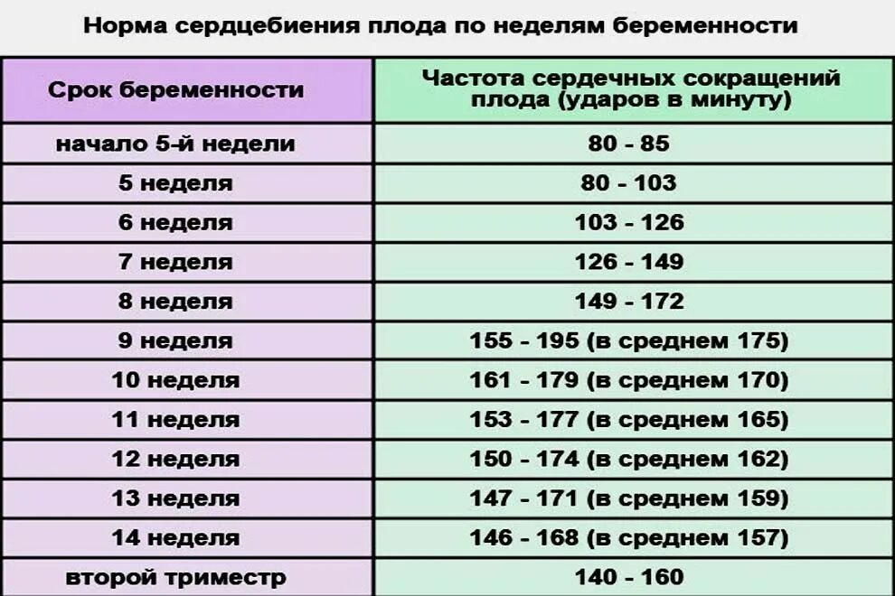 Первое сердцебиение плода. Сердцебиение плода по неделям таблица. Норма сердцебиения плода на 20 неделе. Частота сердечных сокращений плода в норме. Частота сердцебиения у плода в 20 недель беременности норма.