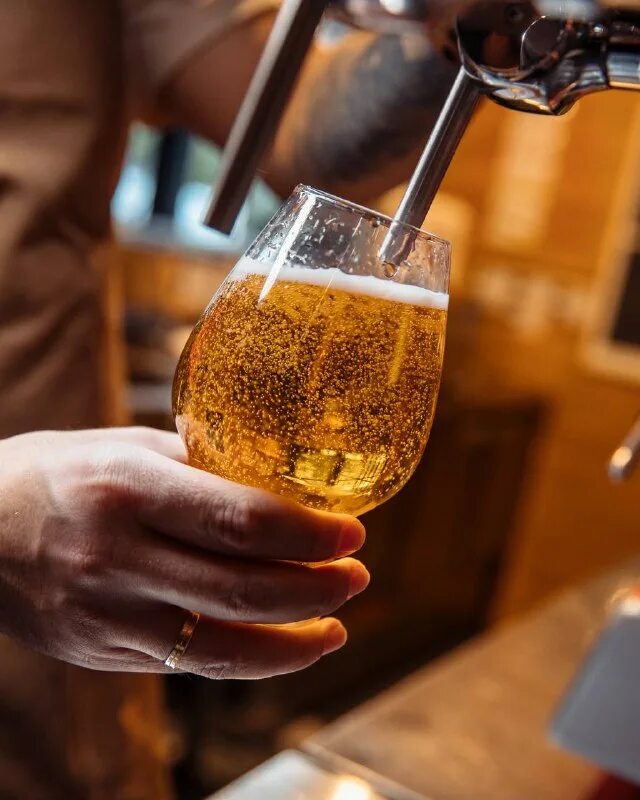 узбечка пенза чайхана. чайхана узбечка саратов. чайхона узбечка саратов. лермонтова 36а чайхана узбечка. узбечка чайхана шереметьево.