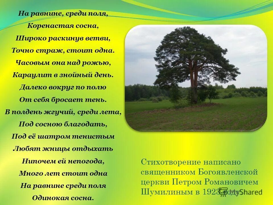Дом в степи. Вайоминг сараи. Посреди равнины стоял дом ничем не. Домик в поле. Дом в поле.