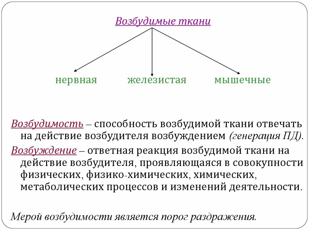 Типы возбудимых тканей. Физиология возбудимых тканей физиология. Основные состояния возбудимых тканей. Возбудимые ткани нервная мышечная железистая.