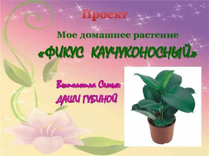 Научная работа по растениям