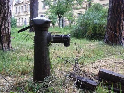 Пить воду из колонки