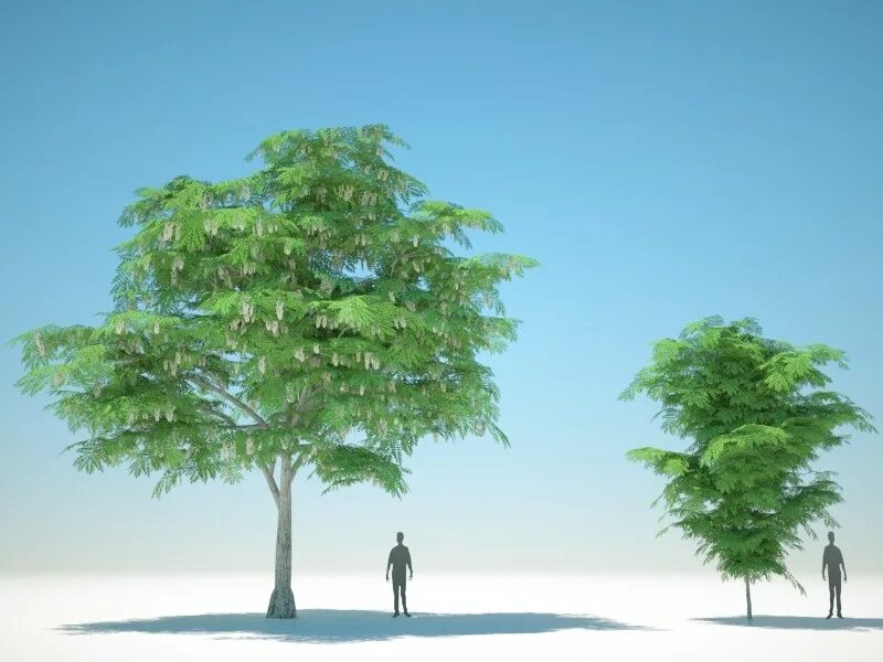 Just tree