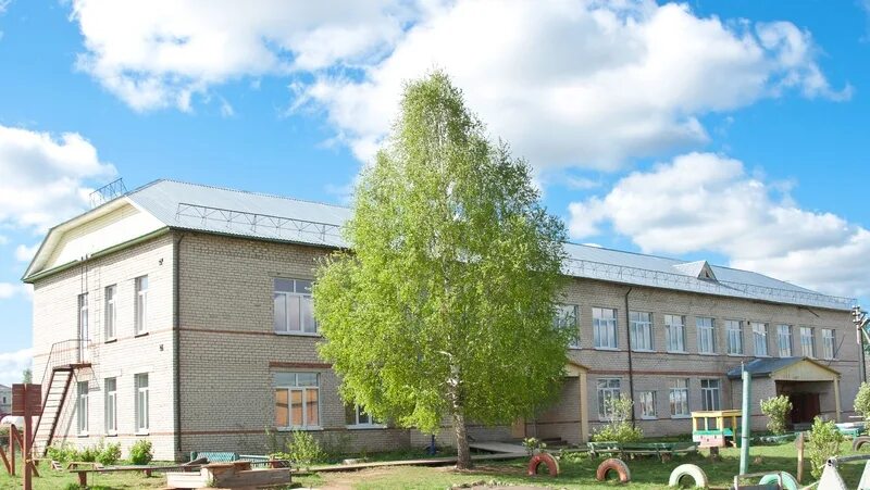 островец беларусь гимназия 1. детский сад березка сосьва. осень березы. березка иллюстрация. береза как символ россии.