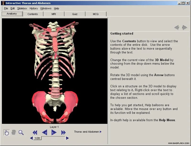 Lolicit. Andrew cawrse ecorche anatomy tools. чатрум. 2d women body generator. 3d model people.