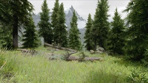 Скайрим для слабых пк
