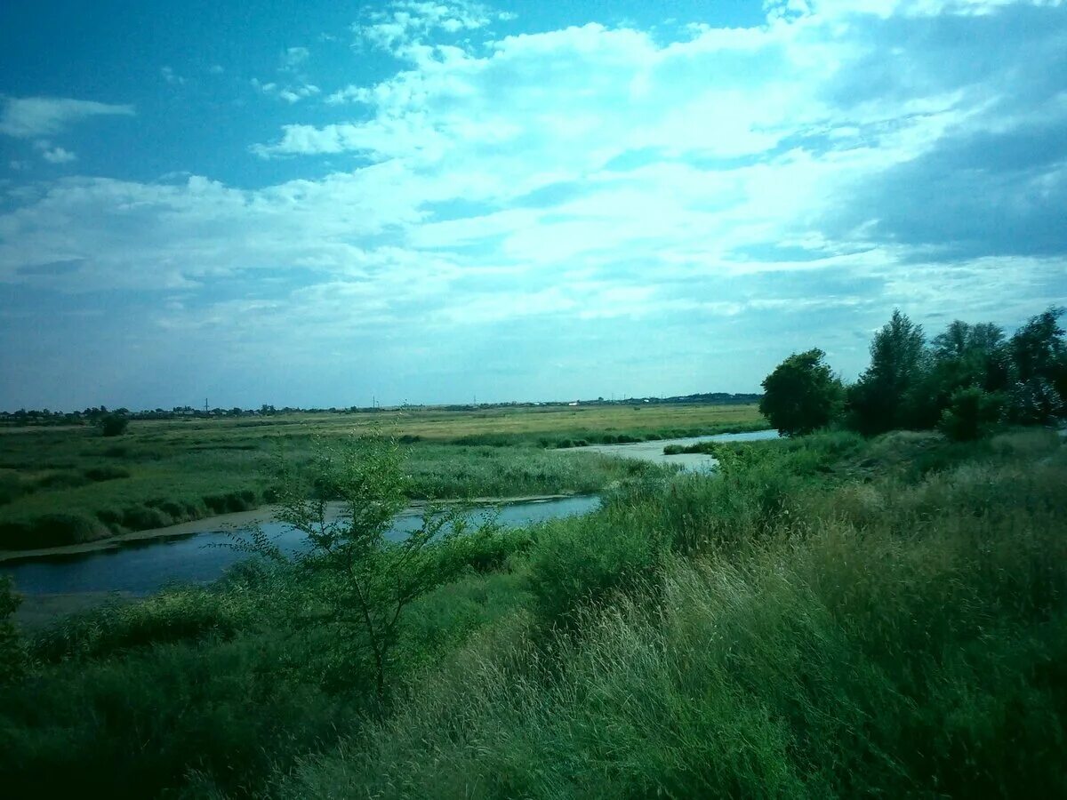 Тобол в реальном времени. Река Тобол в Казахстане. Тобол-Кушлы. Тобол Белозерка. Северный Казахстан природа.