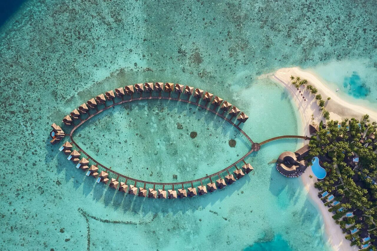 Мальдивы sun siyam vilu reef. Sun siam vilu reef maldives 5. Sun siyam vilu reef 5*, мальдивы, даалу атолл. Sun siyam vilu reef 5. Sun siam vilu reef maldives 5.