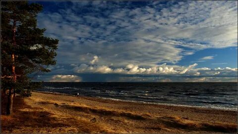 Балтийское взморье где находится