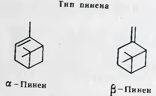 Пинен это. Альфа-пинена. Синтез пинена. B - пинен. Пинен формула структурная.