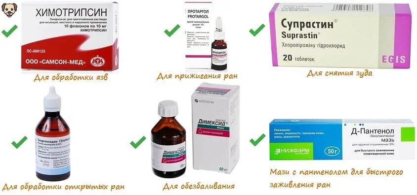 Профилактика стафилококковых заболеваний. Антибиотики при стафилококке. Для стафилококковой инфекции характерно. Средство от стафилококка в носу. Препараты для лечения стафилококковой инфекции.