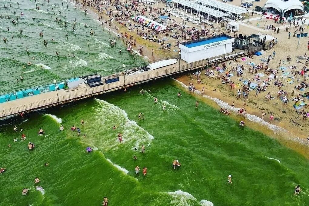 Черное море цветет Анапа. В Анапе зацвело море. Цветение моря в Анапе. В Анапе позеленело море. В анапе есть вода