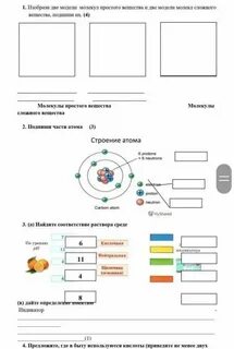 Практическая работа по естествознанию