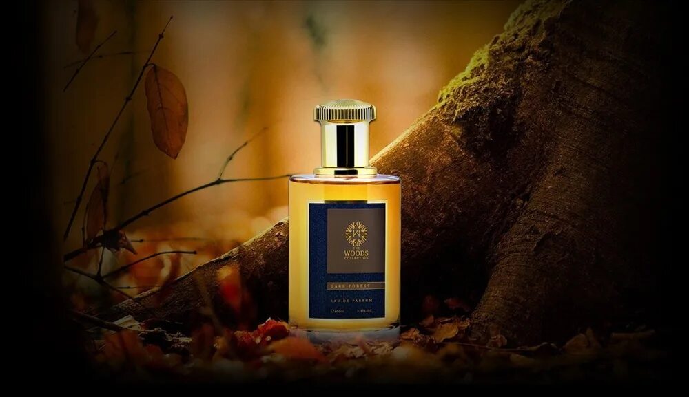 Лесе парфюм. Dark Forest Wood collection Парфюм. Woods духи Dark Forest. The Woods collection Dark Forest EDP 100ml. Аромат the Woods collection Dark Forest.