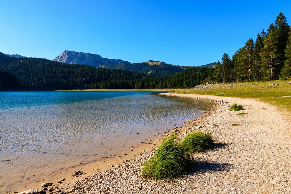 жабляк черногория черное озеро. время черного озера. гора туркул черное озеро. дурмитор черное озеро. область жабляк озеро.