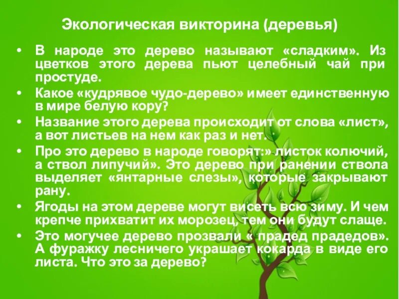 Вопросы по экологической викторине. 3 вопроса по экологии