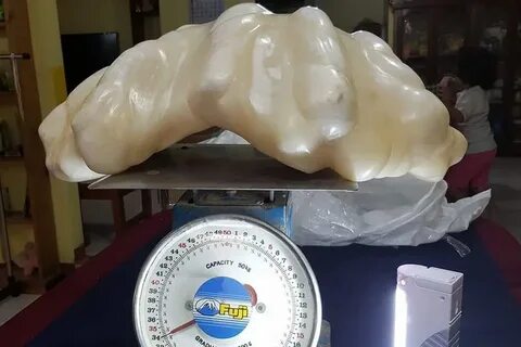 Крупнейшая жемчужина