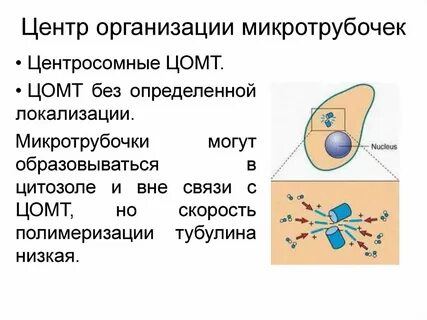 Вне связи
