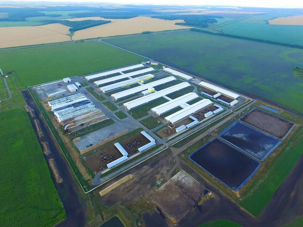 село мокрое липецкая область лебедянский район. схп мокрое липецкая область лебедянский район. мокрое липецкой обл. церковь село мокрое липецкая. село мокрое липецкая область.