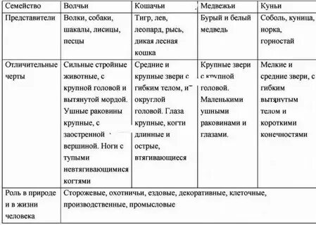 Используя материал параграфа составьте таблицу характеристика типов