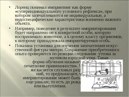 Отрывок из труда к лоренца посвящен