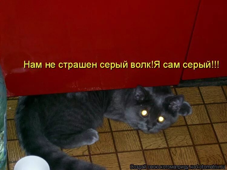 нам не страшен серый. нам не страшен серый волк картинки. анекдоты про поросят. » микляева. нам не страшен серый волк.