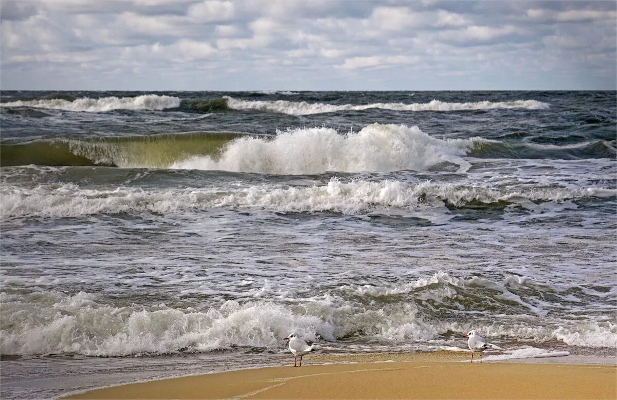Температура в балтийском море август. Балтийское море шторм. шторм на балтийском море. калининград балтийское море в августе. шторм на балтике в калининграде.