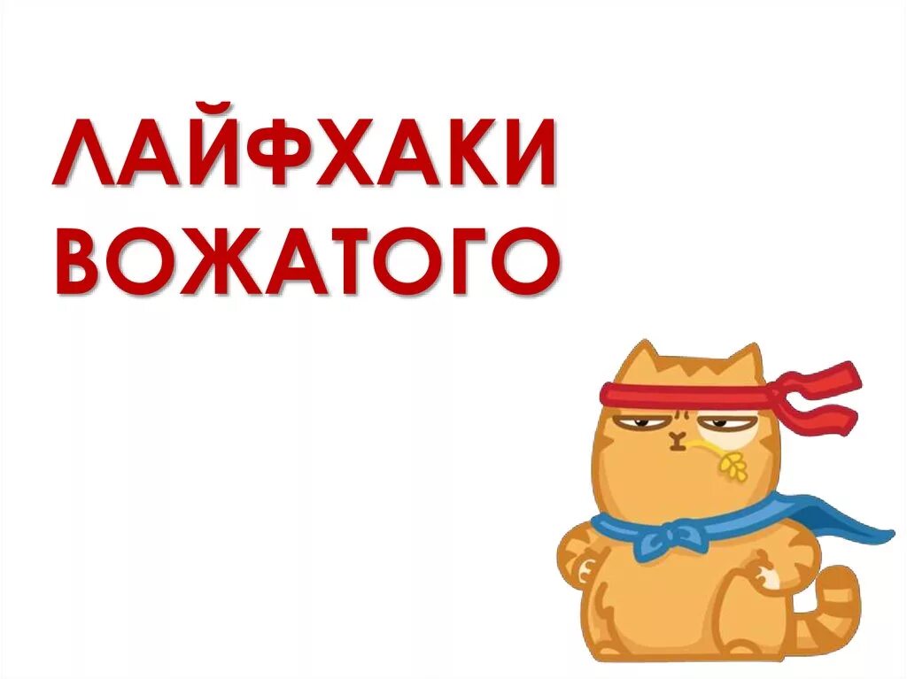 Фразы вожатых. Лайфхаки для вожатых. вожатый. лайфхаки для вожатого в лагере. мемы про вожатых в лагере.