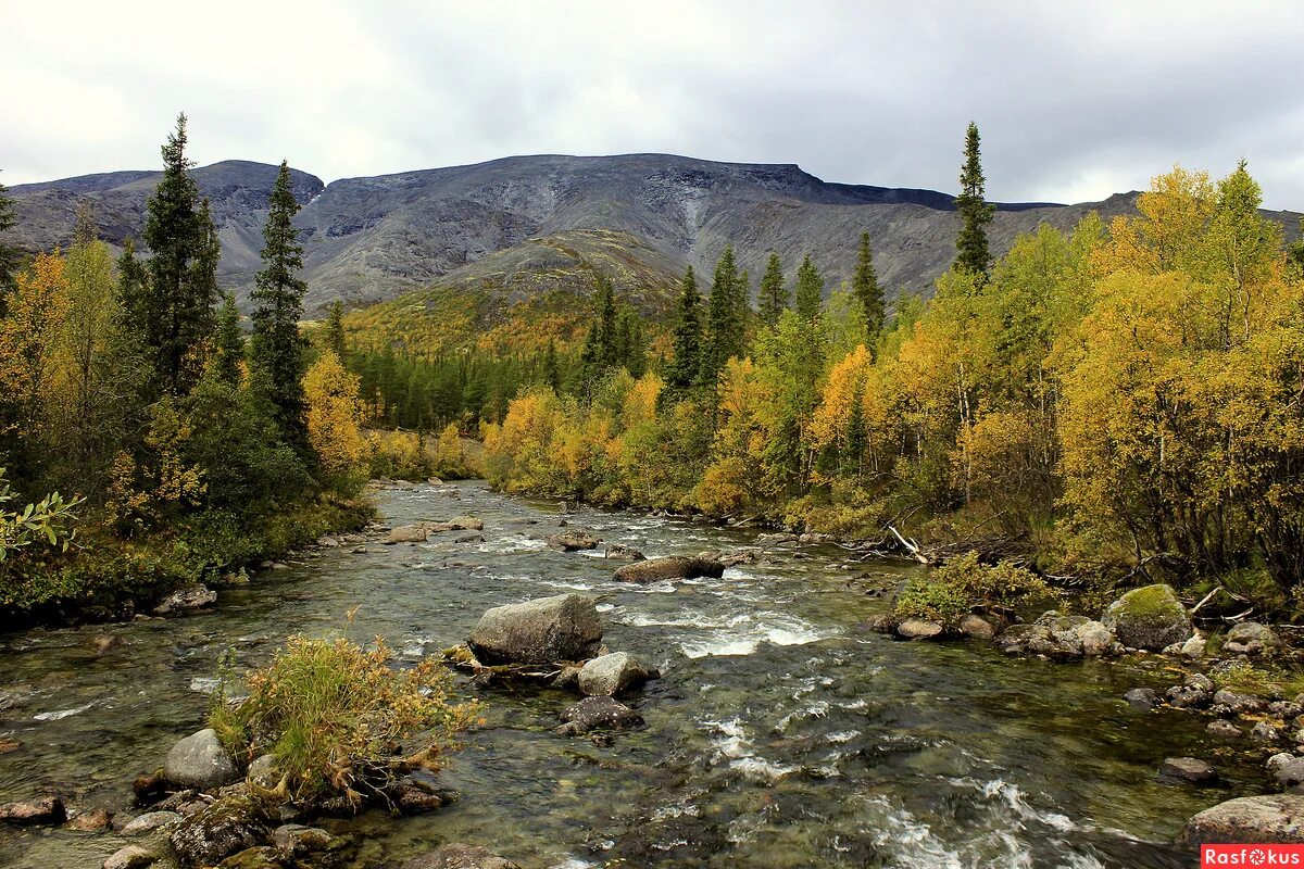реки хибин. река гольцовка хибины. хибинские горы мурманская. хибины кольский полуостров. хибины река.