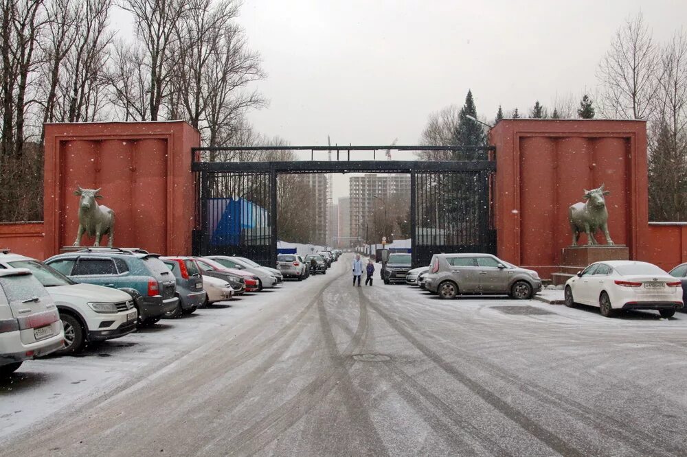 Федора котанова. Въезд в промзону. Въезд на мясокомбинат. Въезд на мясокомбинат ворота. Въезд на территорию промзоны.