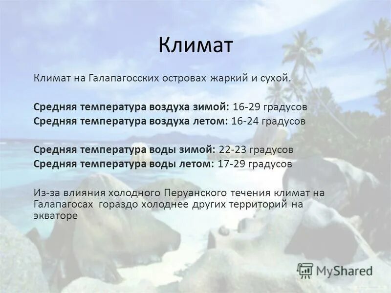 Жаркий сухой климат в россии. Какой климат жаркий и сухой. Жаркий климат. Климатическая карта поясов климатов мира. Тёплая сухая зима и жаркое дождливое лето.