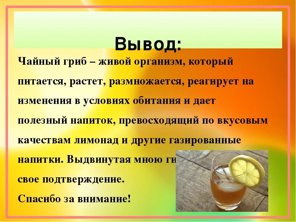 Сколько можно пить гриб. Чем полезен чайный гриб. Чайный гриб полезные. Чем полезенчайный грип. Чайный гриб полезные свойства.