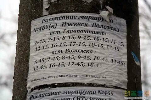 Расписание 469