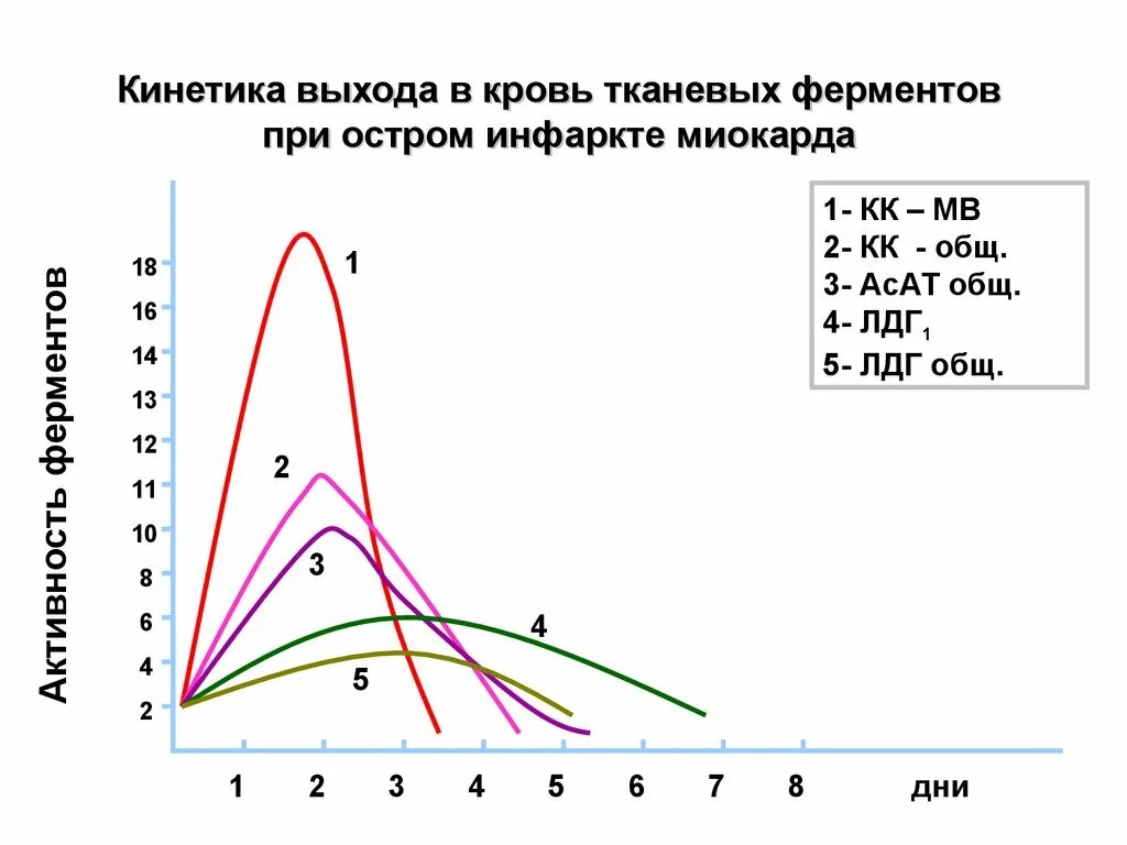 Активность ферментов в сыворотке крови. Динамика ферментов при инфаркте миокарда. Динамика ферментов крови при остром инфаркте миокарда. Повышение ферментов при инфаркте миокарда. Динамика изменения активности ферментов при инфаркте миокарда.