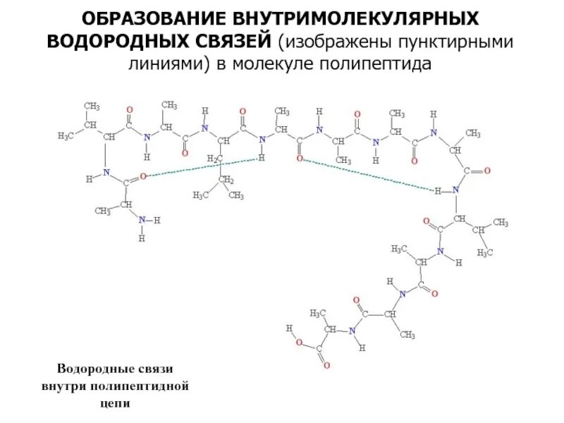 Формирование водородных связей