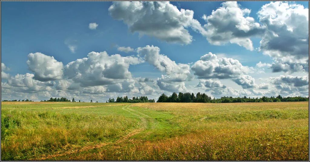 Поля в степи украина. Старое поле. Сарай в поле. Ветхий сарай. Поля стар.