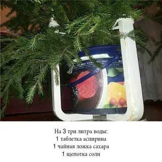Что надо сделать чтобы елка долго стояла