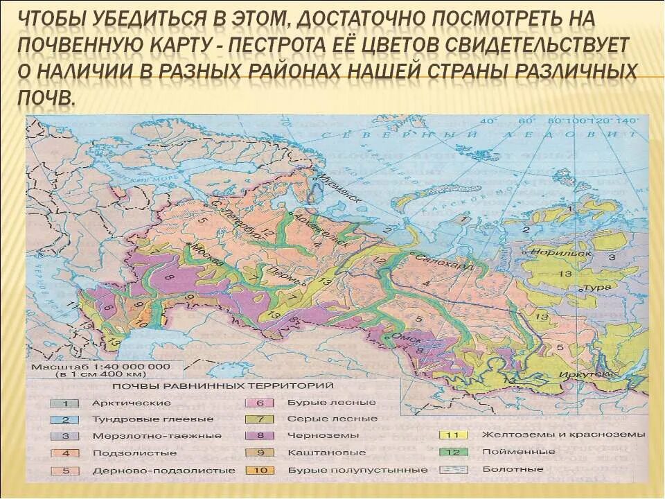 карта почв восточной европы. карта почв европы. восточно-европейская равнина тип почвы северная часть. почвенная карта европейской россии 1900 г докучаева. почвенная карта европейского юга.