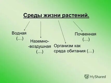 Факторы жизни растений таблица