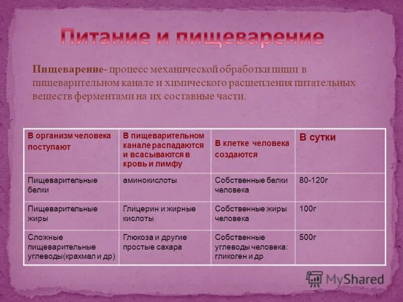 ферментативные препараты для собак. ферменты для пищеварения собакам. ферменты для пищеварения собакам. добавки для пищеварения. ферменты для пищеварения собакам.