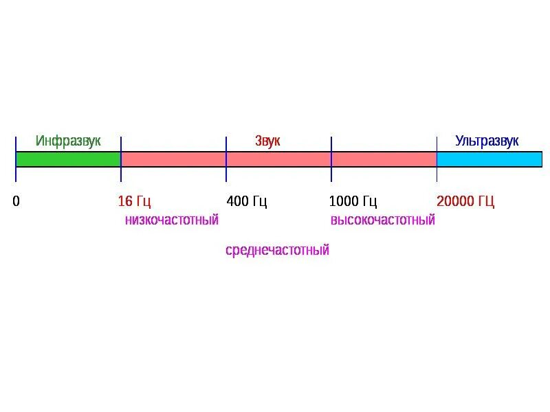 Ультразвук и инфразвук. Частоты инфразвук ультразвук. От инфразвука до ультразвука. Звук и ультразвук. Частота звука мыши
