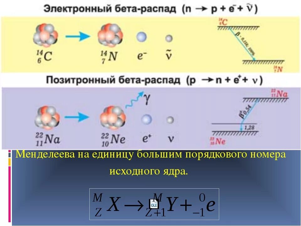 Распад буквы. Схема позитронного бета распада. Электронный и позитронный бета распад. Схема электронного бета распада. Бета минус распад распады.