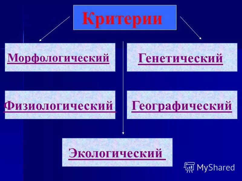 морфологический физиологический