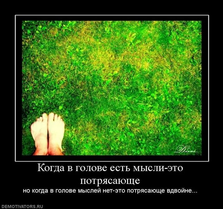 Мысли нету. Нет мыслей. нет мыслей в голове. картинки когда нет мыслей. ни одной культурной мысли в голове.