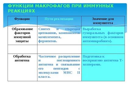 Основные функции макрофага