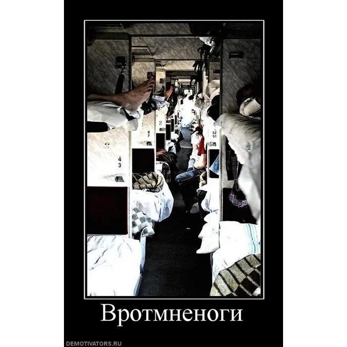 Вротмненоги livejournal журнал