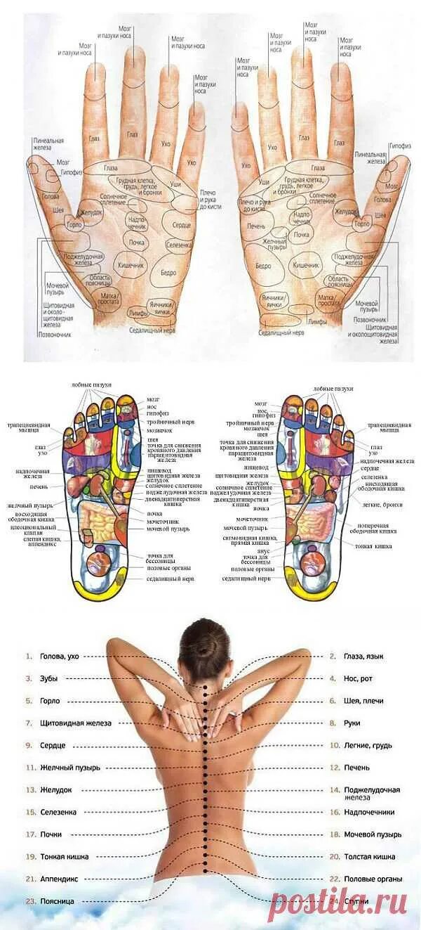 Точки на правой руке в китайской медицине. Точки на ладони по китайской медицине. Расположение органов на ладони. Проекция внутренних органов на ладони. Китайская медицина руки