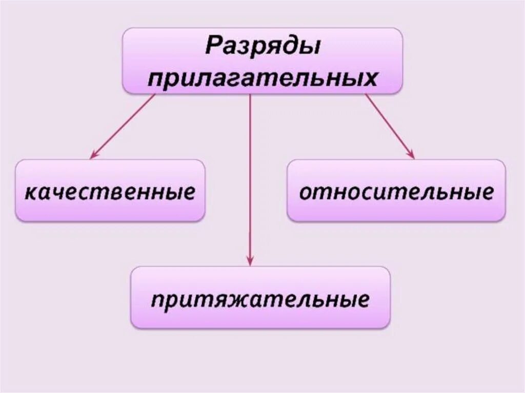 Разряды прилагательных презентация. Разряды при. Как определить разряд прилагательных. Имя прилагательное разряды прилагательных. Глуп разряд