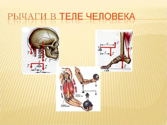 Рычаг механизм. Простые механизмы рычаг. Простые механизмы рычаг 7 класс. Рычаг механизм схема. X7 рычаги