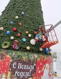 Елки в бийске